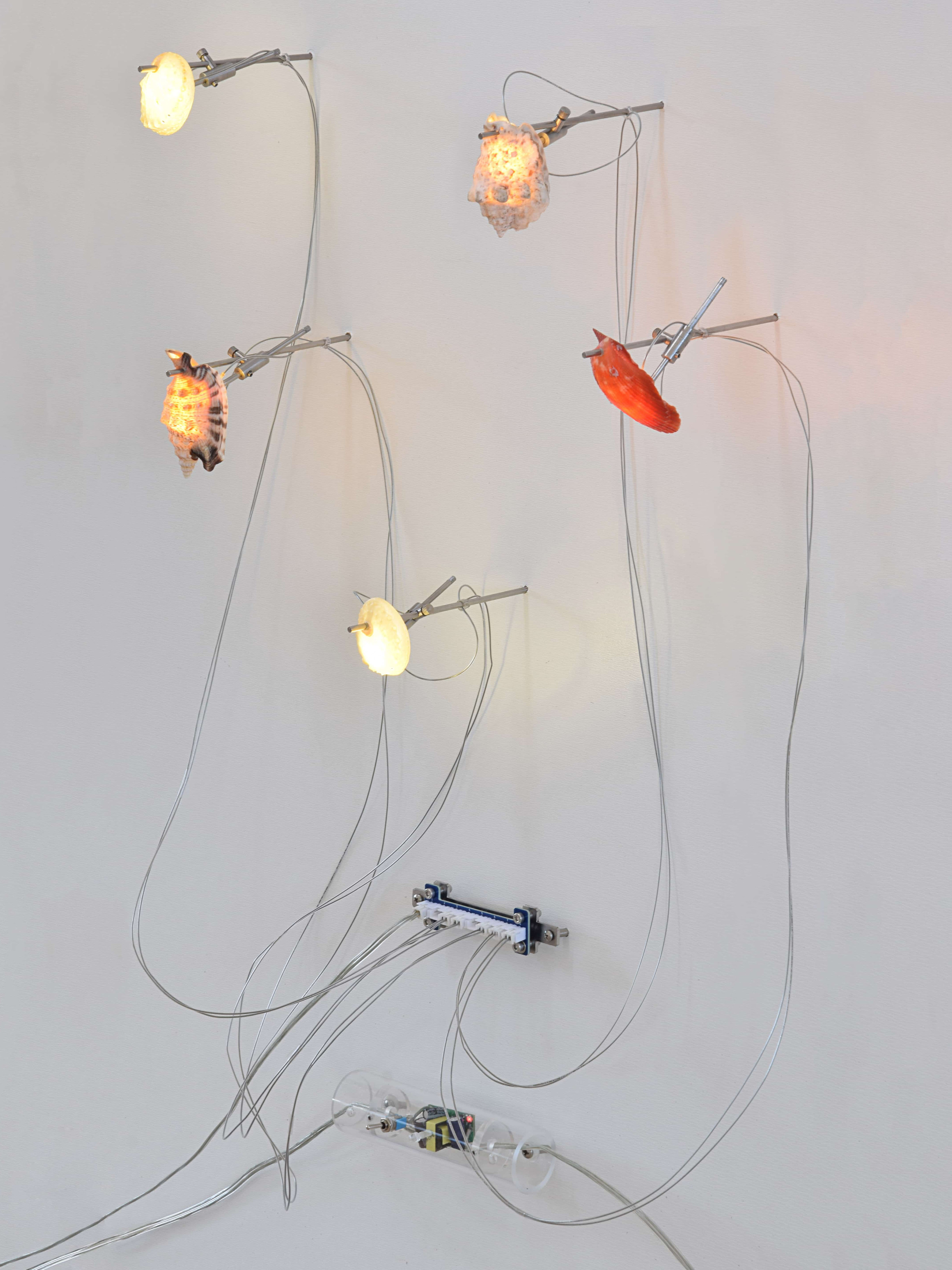Collectible Brussels — Ludovico Grantaliano